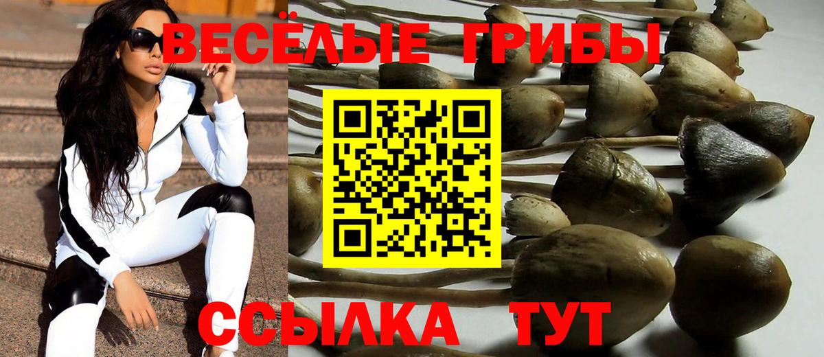 Алейск  Псилоцибиновые грибы GOLDEN TEACHER  Вход с VPN 