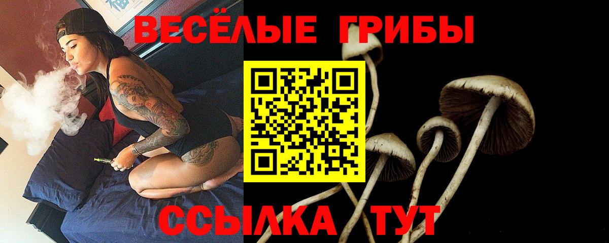 Псилоцибиновые грибы мухоморы Алейск